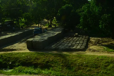 DSC_7708 (Large).JPG